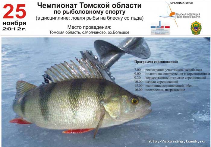 Чемпионат Томской области по ловле на блесну со льда 2012