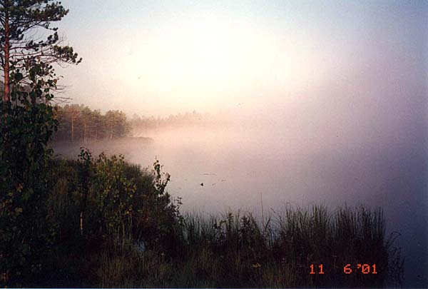 Утро на Красном
