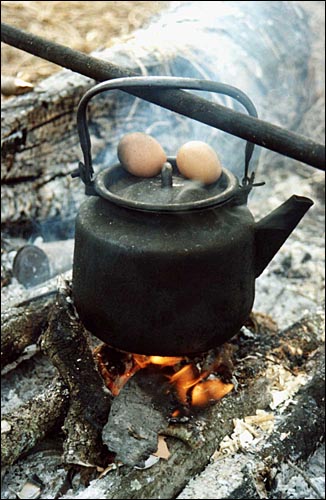 Натюрморт с яйцами. (Вятский камешек.Ноябрь-2002)