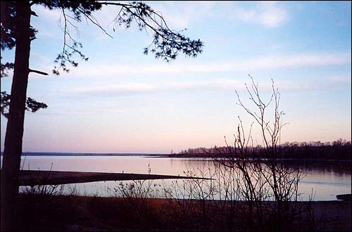 Сиреневая Бердь