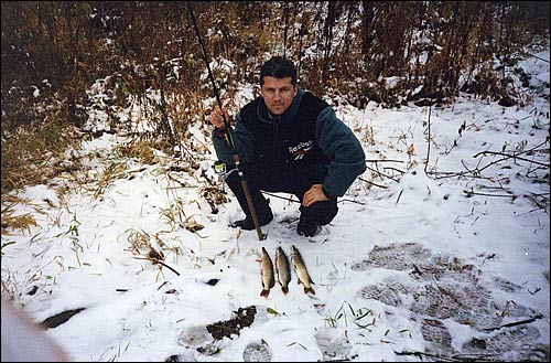 На телевизионном болоте