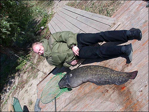 Я и сом