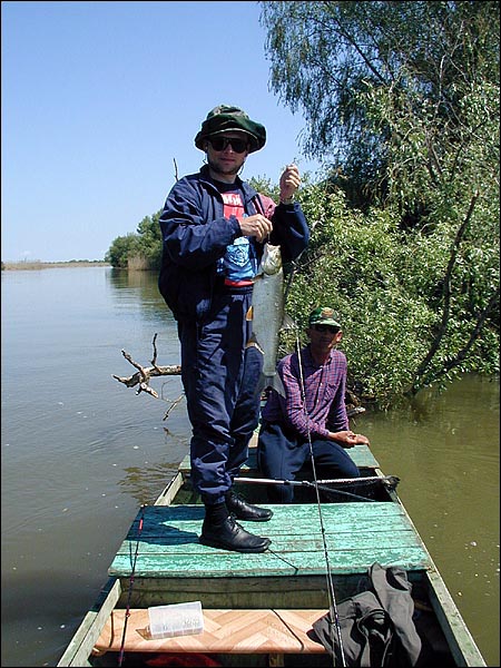 Mip и жерешок