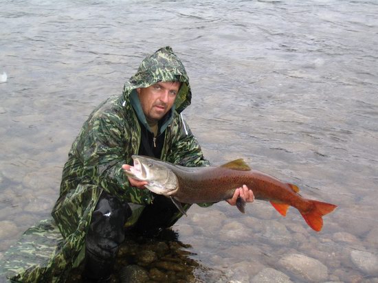 Zander с тайменем
