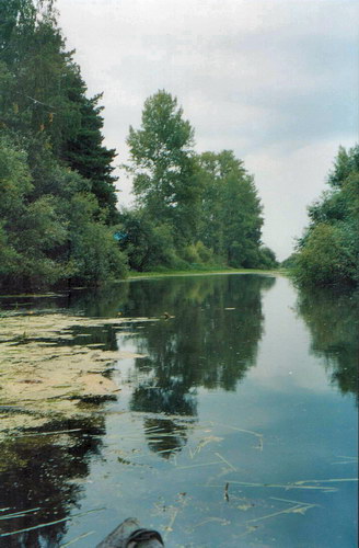 р.Уень Кашланский бор август 2004г.
