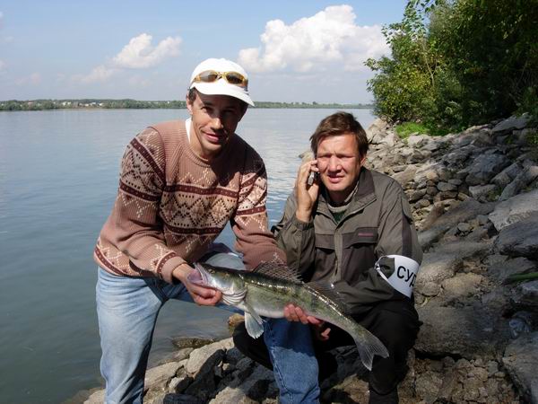 "Дисквалифицированный судак с соревнований 3.09.05"