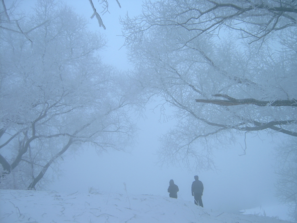 МР.03.02.2006