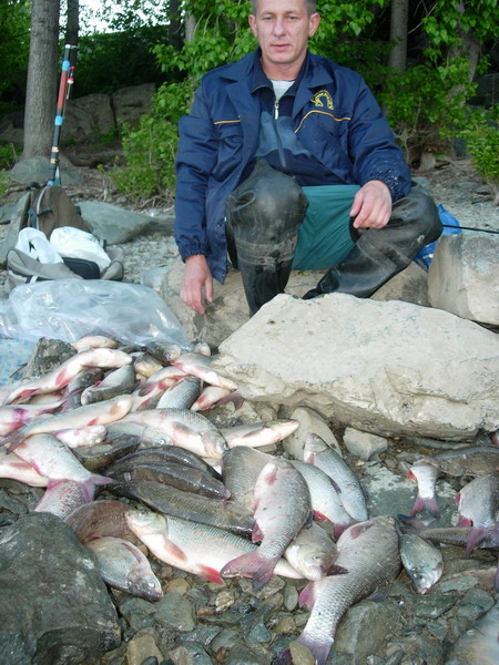 Язь летом 2005  на удочку