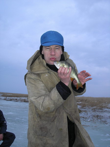 Товарный окунь