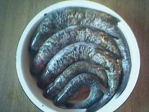 готовы для копчения