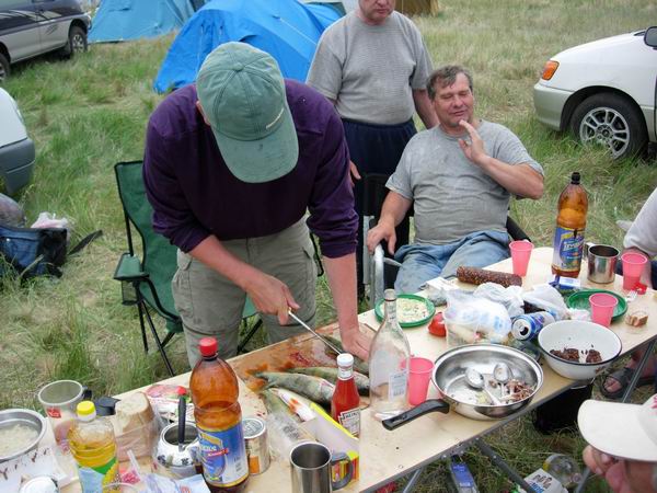 fest шеф повар