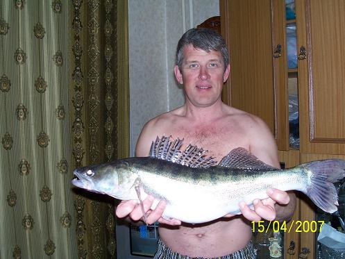 клыкастый