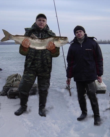 Снег пошел!