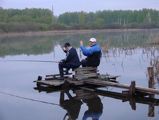 Привет, бобёр!