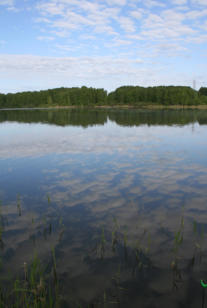 Платник в Верх Балте
