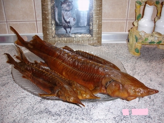 Подарок из Мегиона (30 км. на Север от Нижневартовска). Но муксун вкуснее