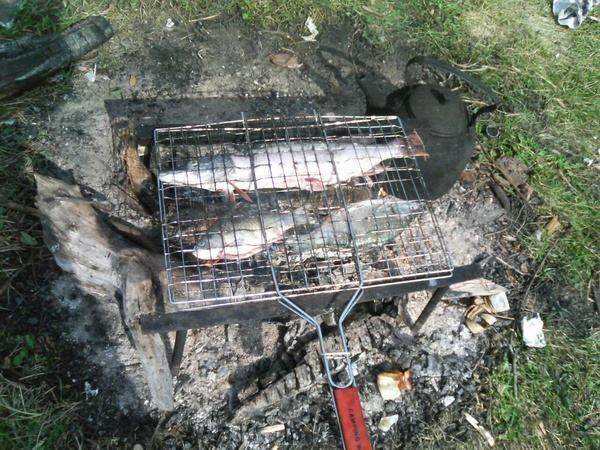 Процесс пошел.