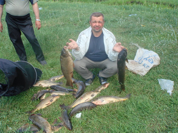каргатская сельдь 