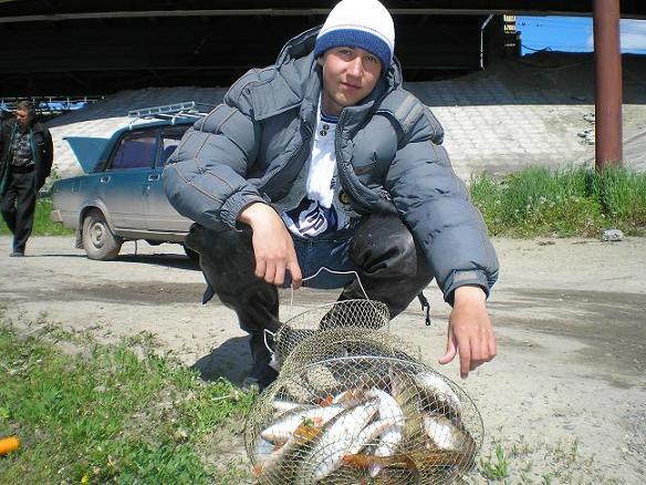 весь улов