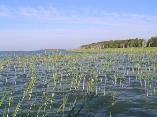 Чаны ,недалече от д. Белово