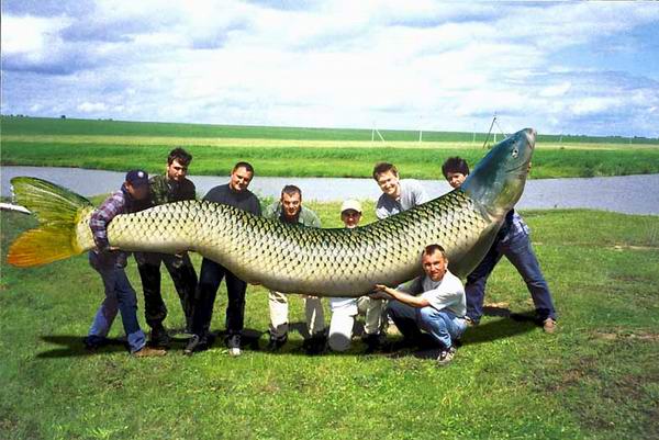 Река ирмень 2001 год