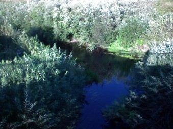 последний взгляд на воду