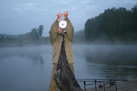 13 кг