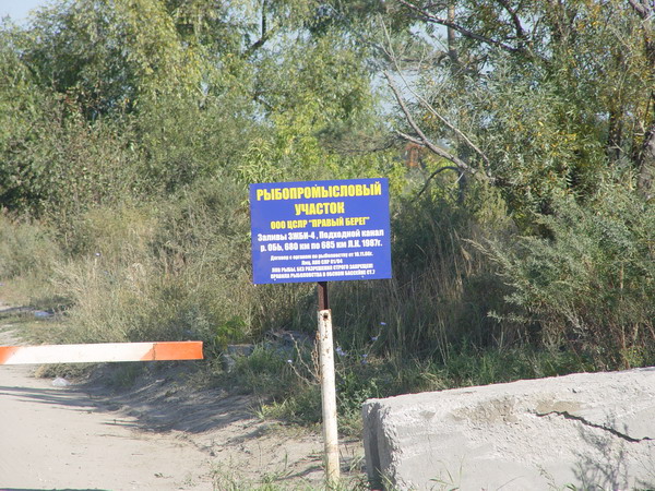 вывеска