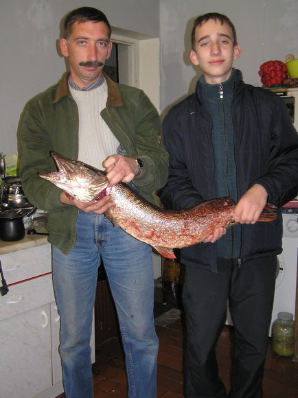 Я, наследник и Щука