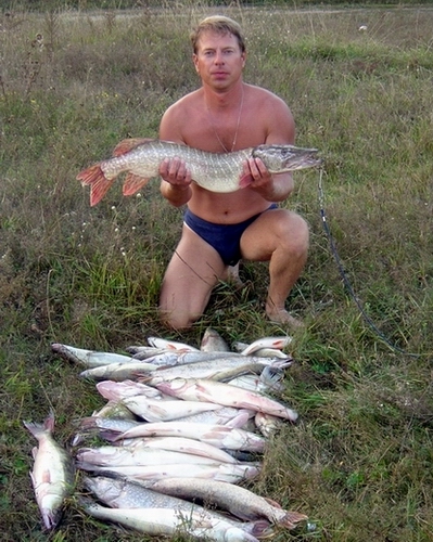 Поймал чуток на ушицу