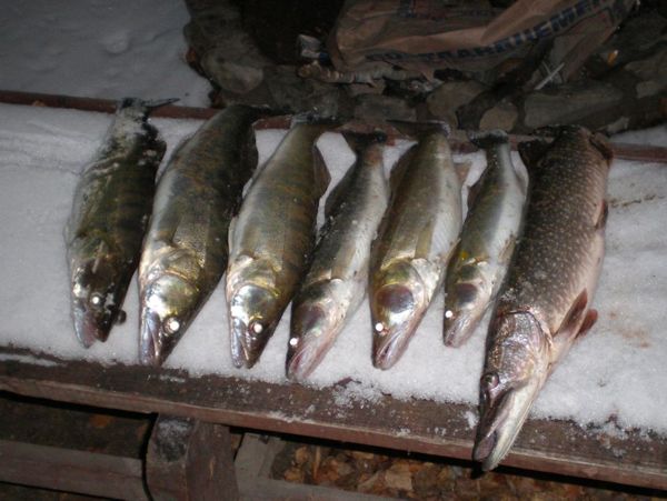 Закрытие сезона открыто воды 2007