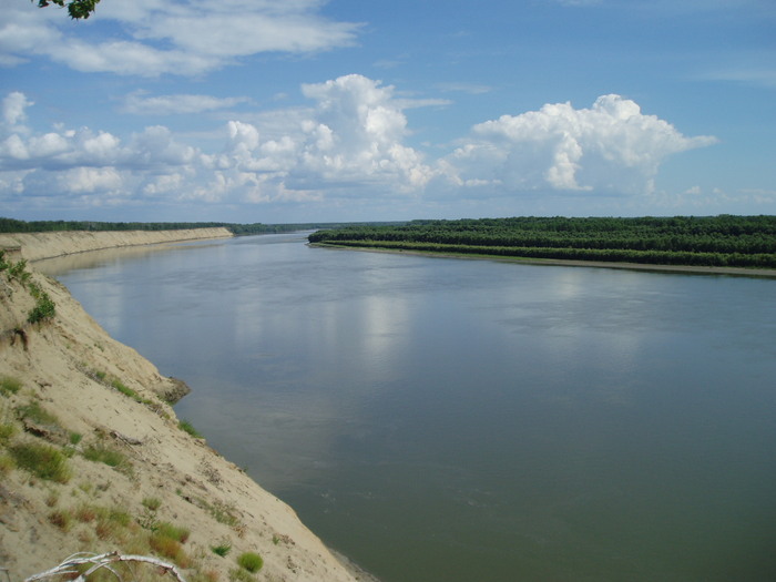 красота