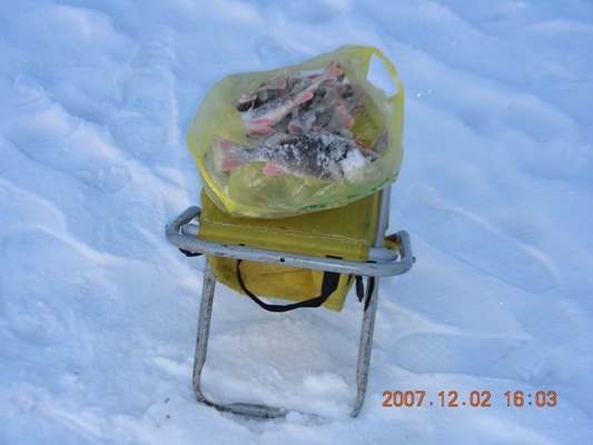 пора домой