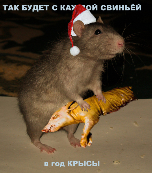 С Новым годом всех!