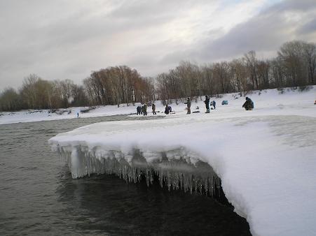 сасульки