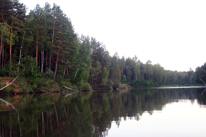 Устье Ельцовки. Караканский бор июль 2006