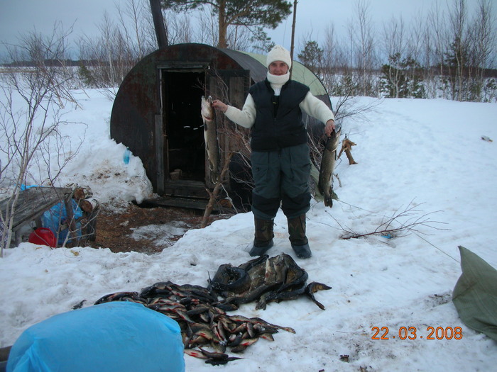 Живцы остались...