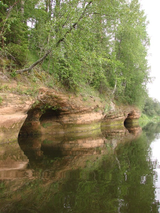 Река Оредеж в Ленинградской области. Июль 2007 г.
