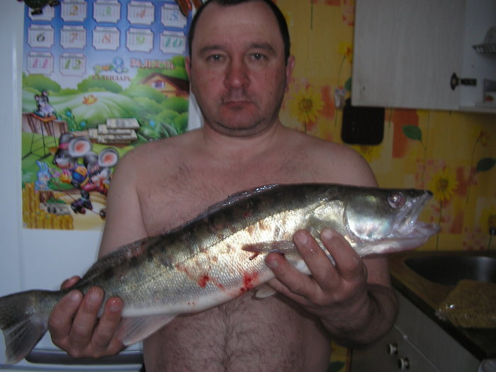 1килограмм 700 грамм