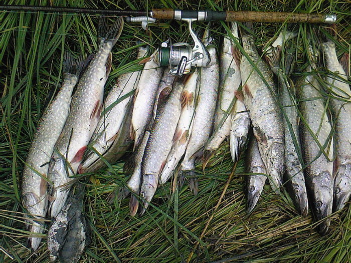 закрытие сезона 2007, Иня,Алтайский край
