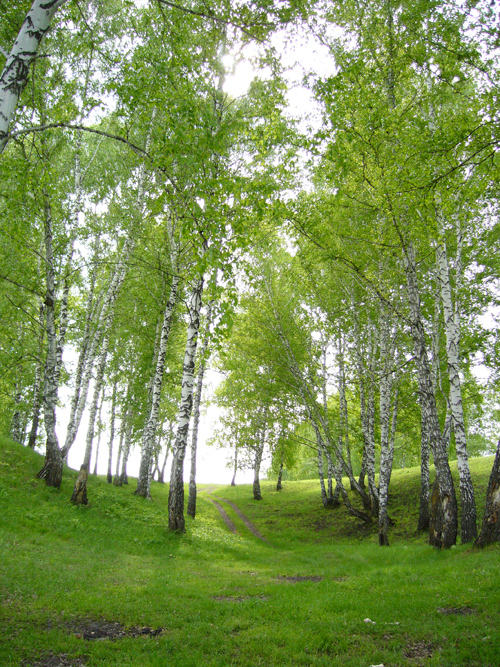 Дорога в рай