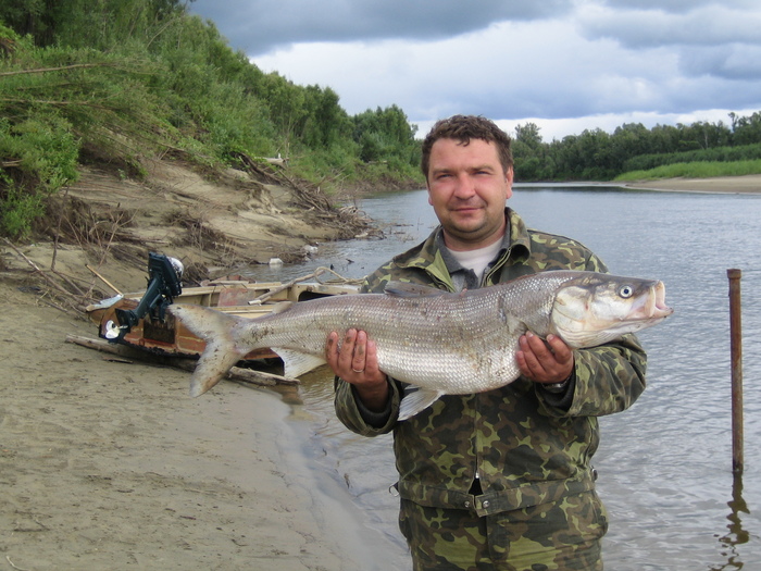 Нельма 9кг
Калпашево 2006