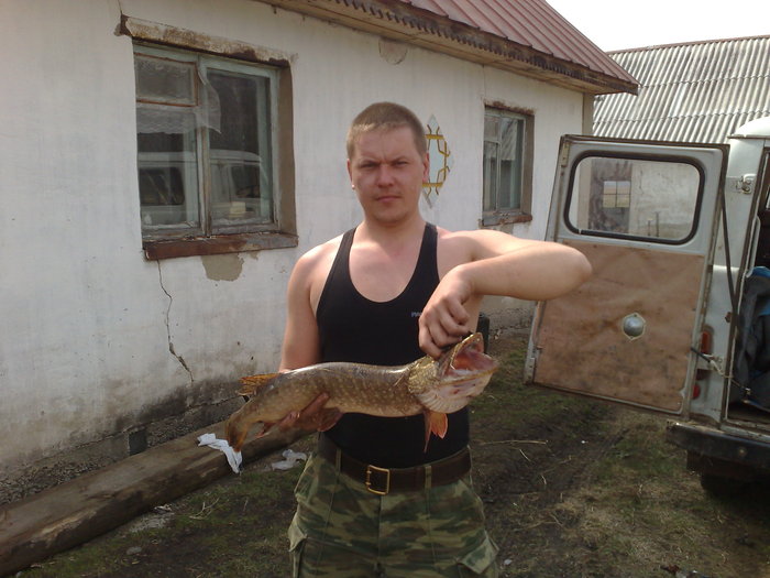 речной хищник