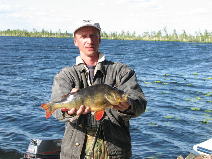 Тенис. Зачетный окунь 1,280 .