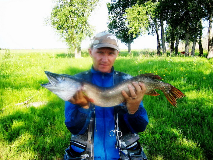 Утро 21.06.08!