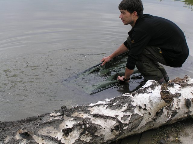 Уплыл