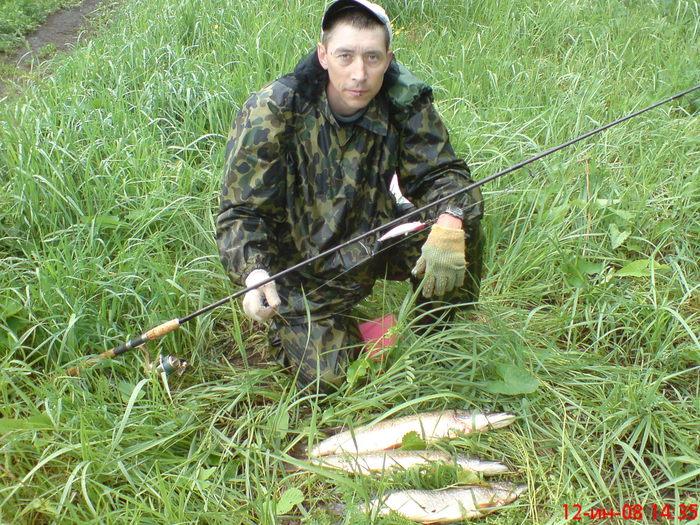 спинербэйт