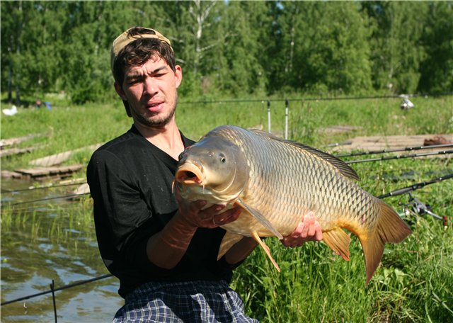 14,5 кг