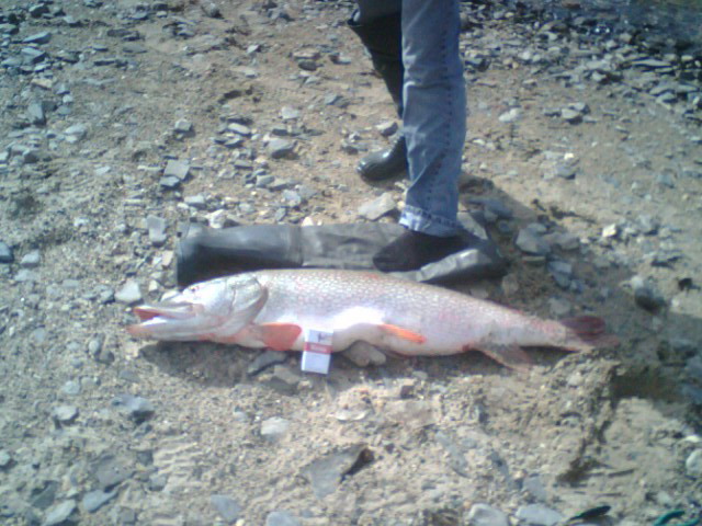 12 кг 107 см