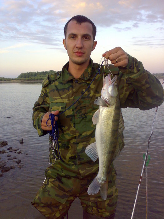 Судак 1,8кг